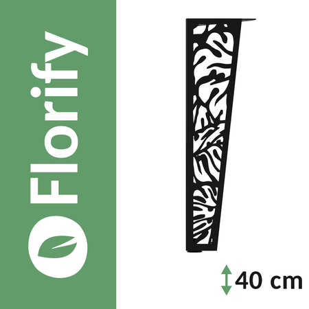 Set Florify 4x pied de monstera moyen NMS 2.00 40 cm