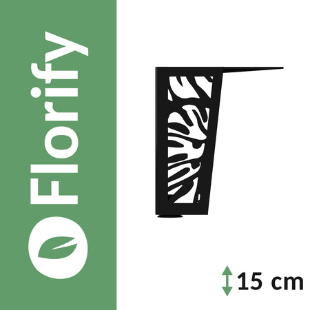 Set Florify 4x pied de monstera petit NMS 2.00 15 cm