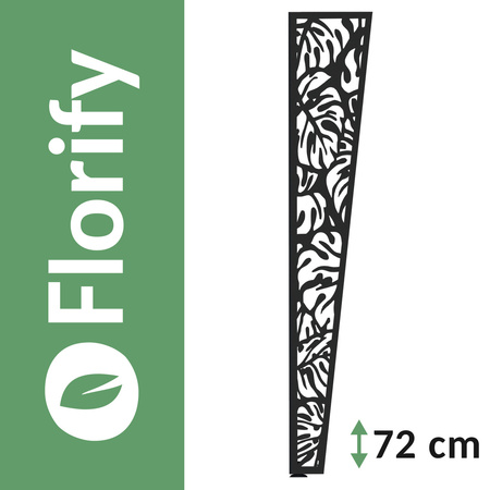 Set Florify 4x pied de monstera grand NMS 2.00 72cm