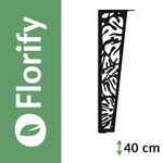 Set Florify 4x pied de monstera moyen NMS 2.00 40 cm