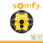 Somfy Motorisation RS100 io 10/17 VVF 3m + Adaptateur LT 50 SW 60 ED