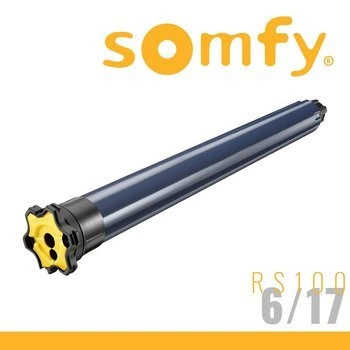 Somfy Moteur S&SO RS100 io 6/17 avec câble VVF 3 m (réf. 1033335)